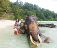 Flor, Maya and Rob Martin next to Rajan, a 63-year-old elephant who knew how to swim, Barefoot Resort, Havelock Island in the Andaman Islands, India, December 2013. (Photo courtesy Rob Martin)