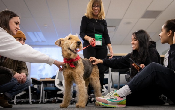 Students and staff members attend a de-stress event hosted by UB Libraries in Silverman Library. The event includes many activities such as puzzles, Legos, games and a chance to pet a therapy dog. Photographer: Meredith Forrest Kulwicki. 