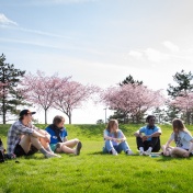 Students outside on North Campus on a sunny spring day in April 2024. Photographer: Meredith Forrest Kulwicki. 