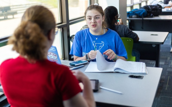 Two undergraduate students meeting over class work. 