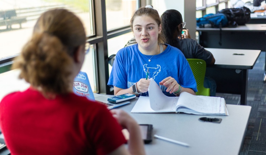 Two undergraduate students meeting over class work. 