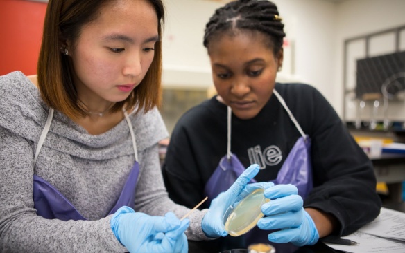 Student and a teacher reviewing a petridish. 