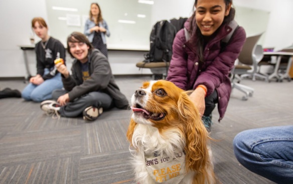 Training with therapy dog. 