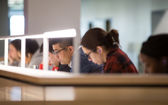 Students studying. 