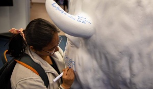 Student signing a bull. 