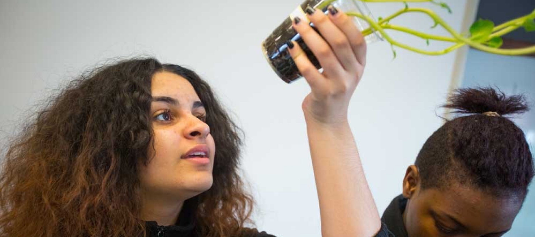 Student studying a plant. 