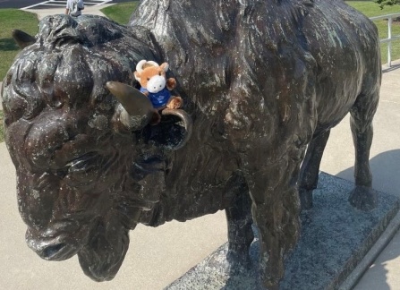 Ed sitting on the bronze buffalo in front of the Center for the Arts. 