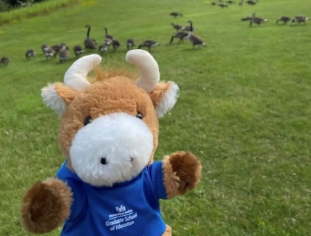Ed in front of a field of geese. 