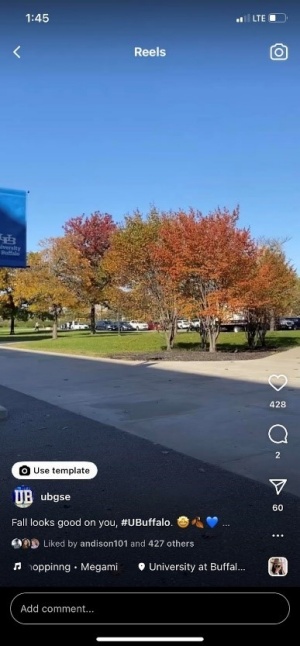 Screen shot of an Instagram Reel. Trees turning colors in the fall, green to orange and red. 