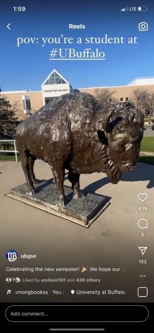 Screen shot of an Instagram Reel. Buffalo Statue. 