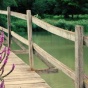 Bridge in a garden. 