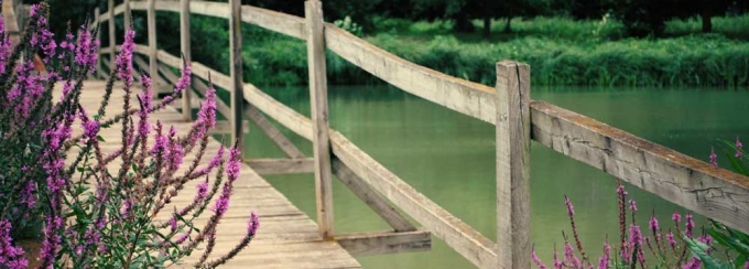 Bridge in a garden. 