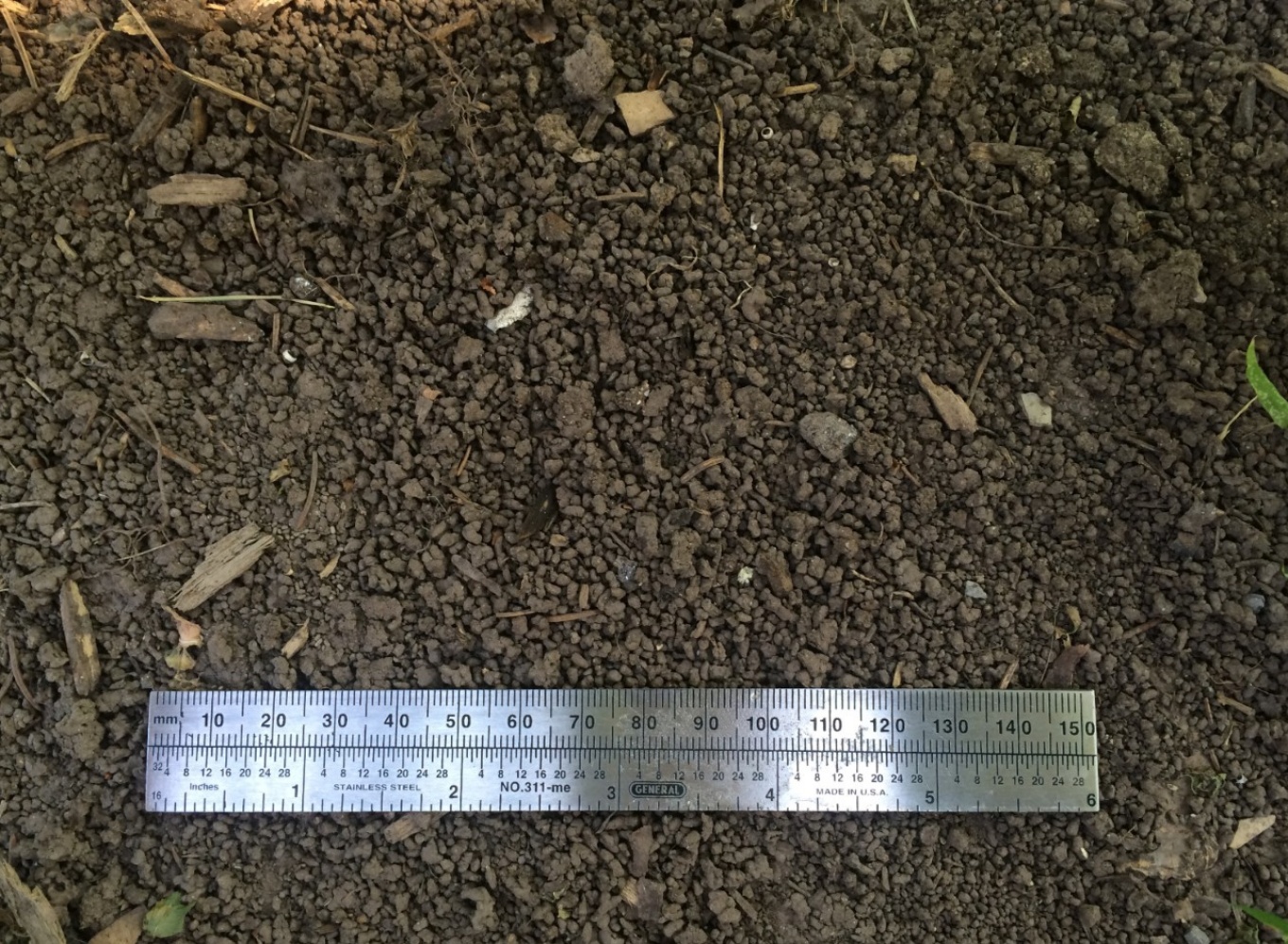 Zoom image: Soil in Jacobsburg State Park in Pennsylvania in 2016. Amynthas earthworms gobble up leaf litter and leave behind granular castings resembling &ldquo;ground beef,&rdquo; says researcher Nick Henshue. Credit: Nick Henshue 