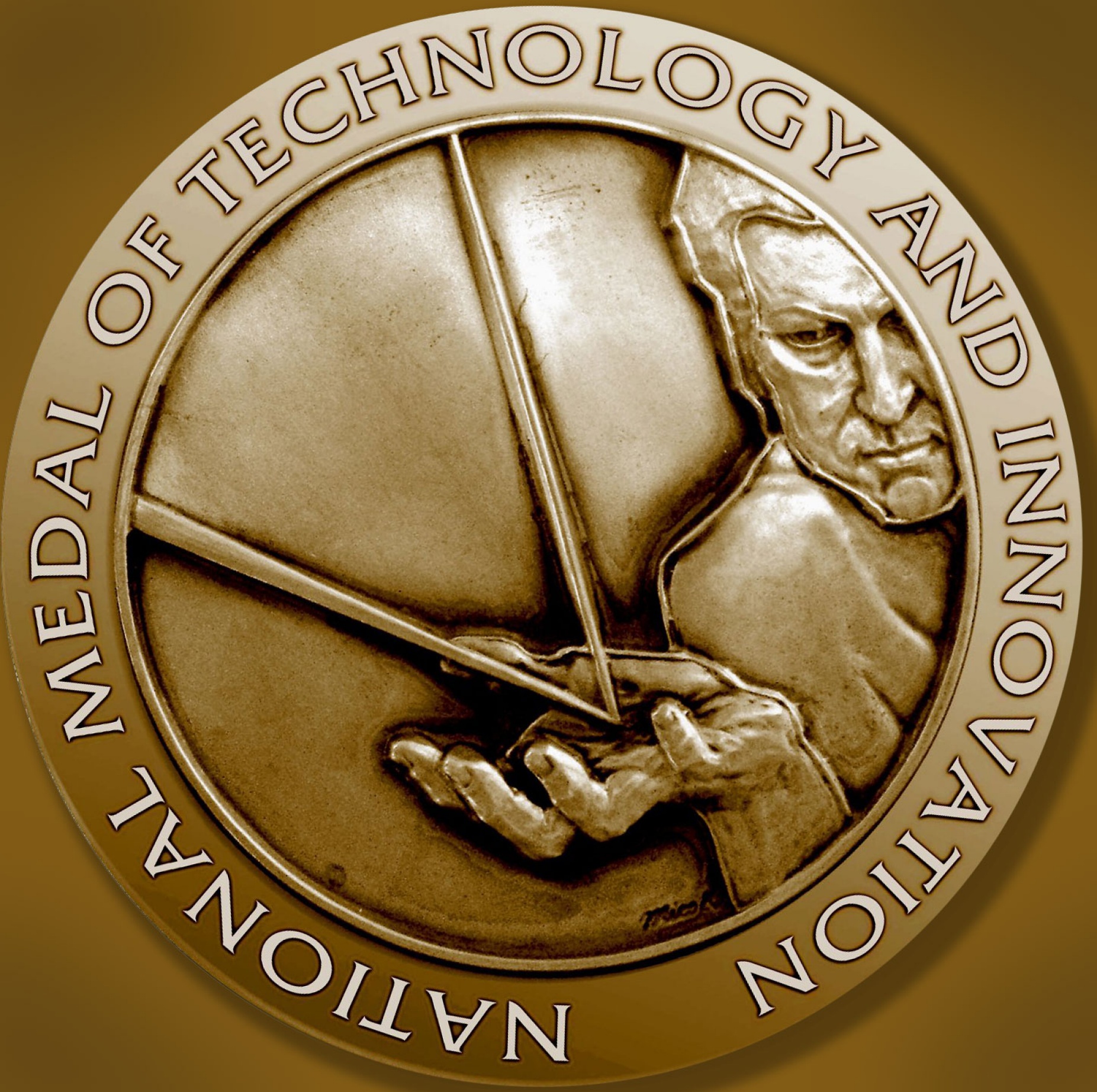 The National Medal of Technology and Innovation medal. 