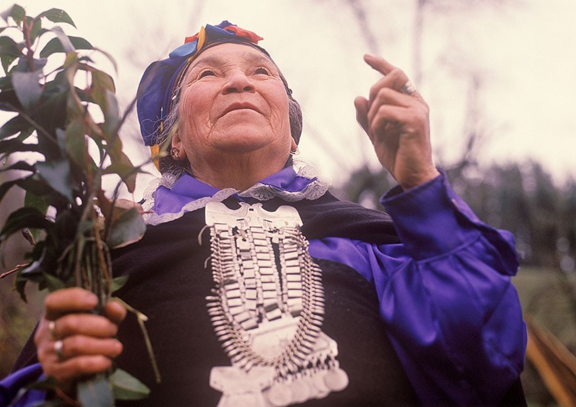 Mapuche shaman Francisca Kolipi. 
