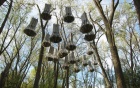 A number of capsules hanging from tree branches. 