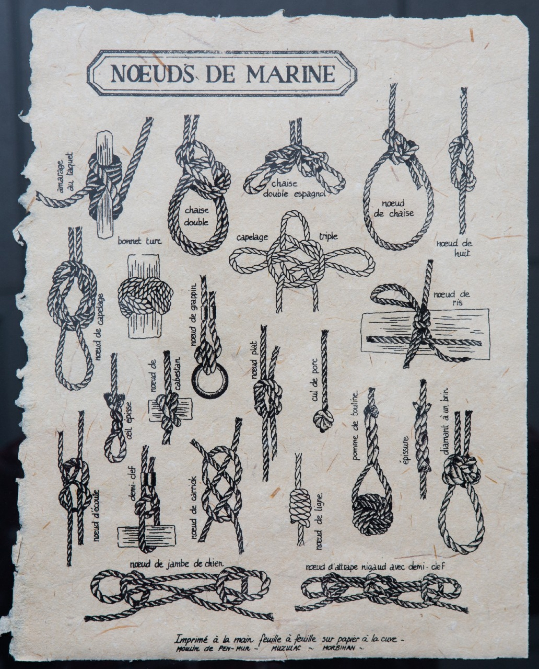 A framed series of drawings of nautical knots.