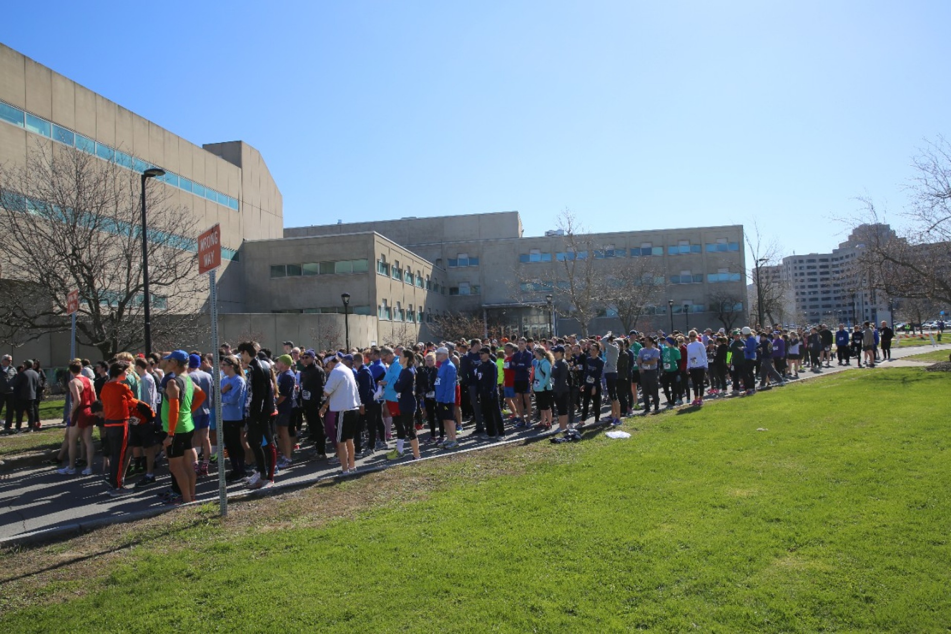 People outside lining up to begin a marathon. 