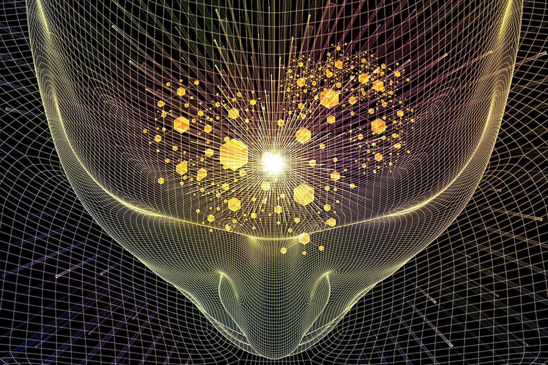 Conceptual illustration of the addicted brain. 