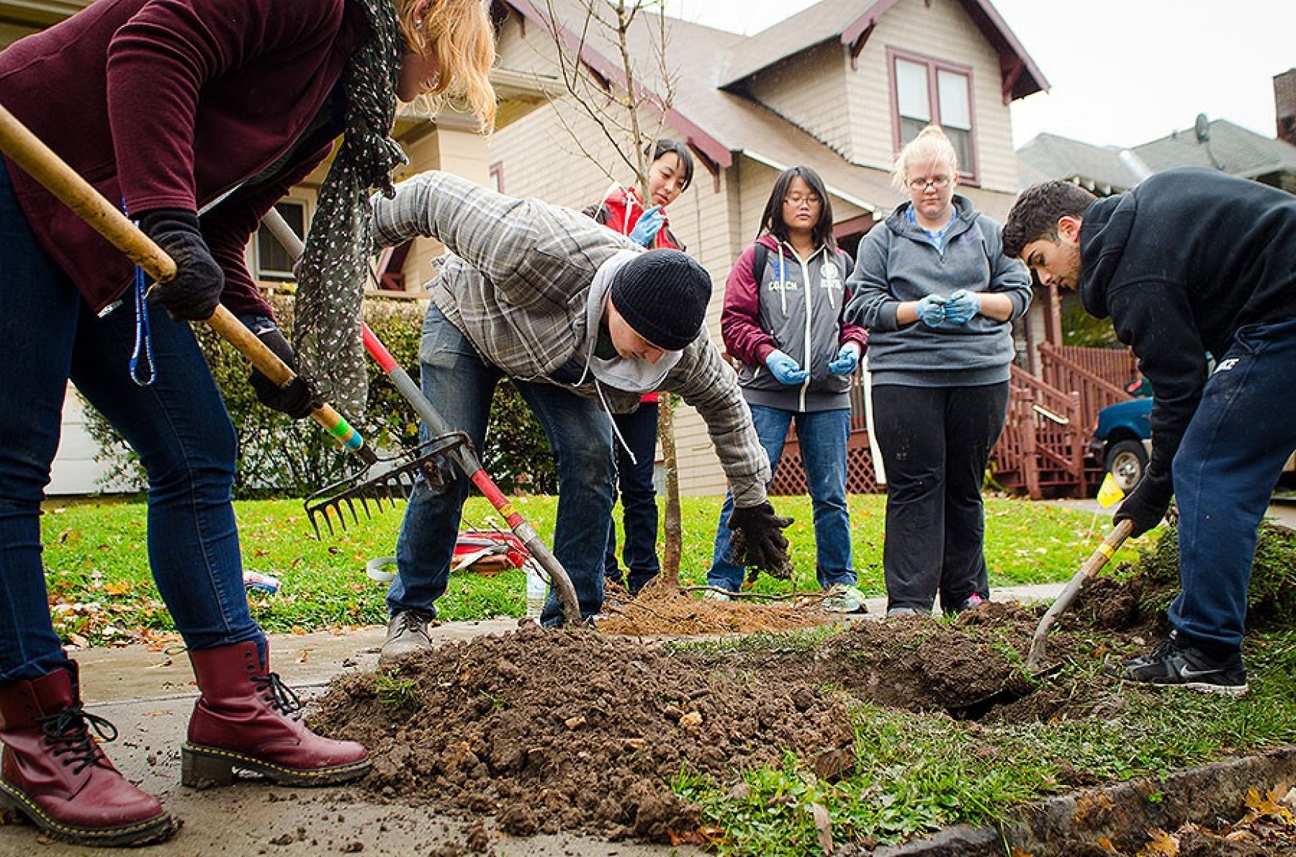 Volunteers plant a tree in the University District.