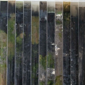 Nicole Clouston, "Soil". 