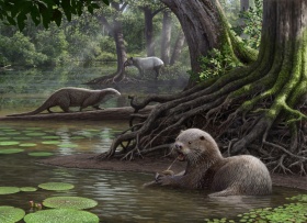 Zoom image: Artist's rendering of Siamogale melilutra, a giant prehistoric otter with a surprisingly powerful bite. Credit: Artwork by Mauricio Anton 