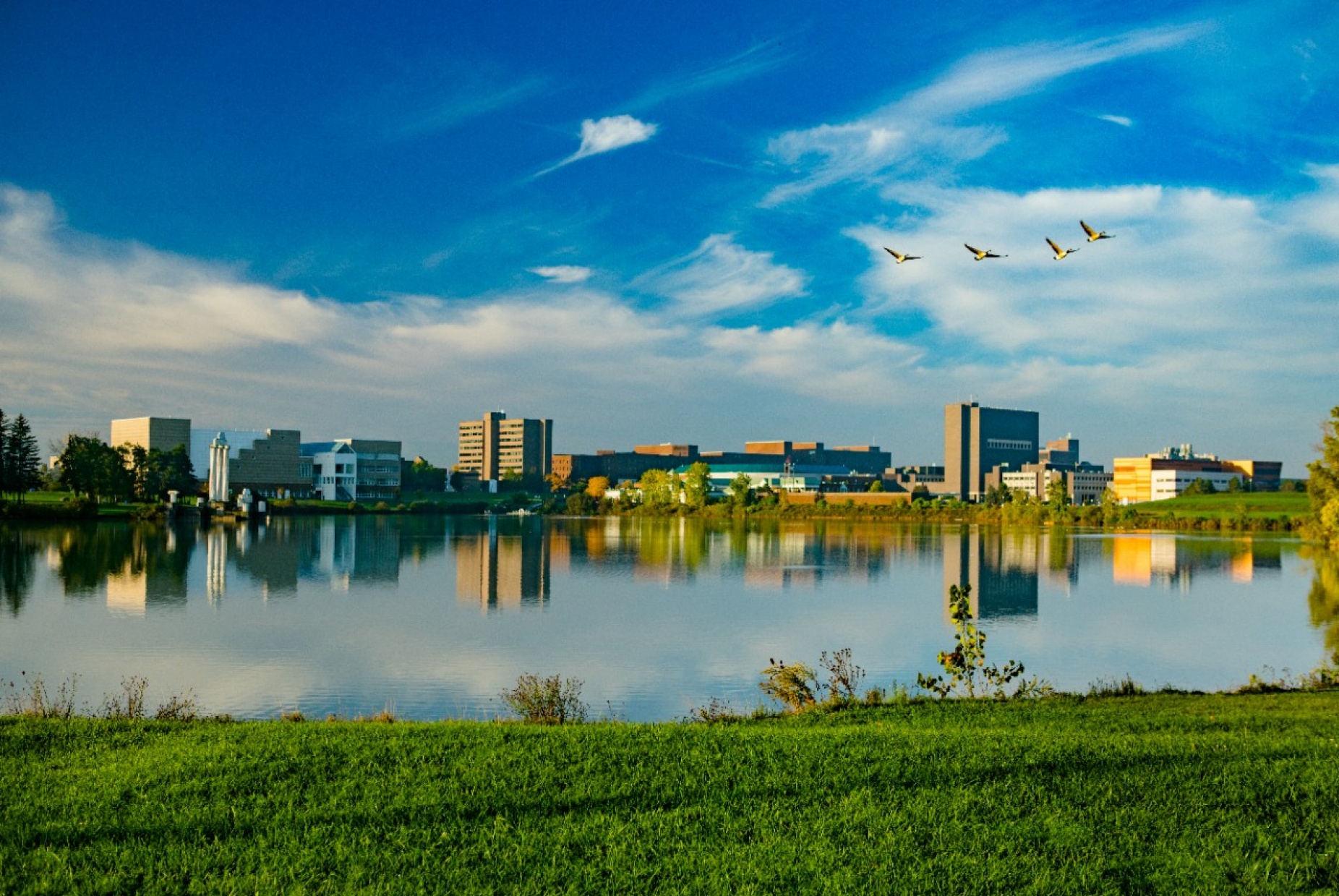 Buildings seen from across a lake. 