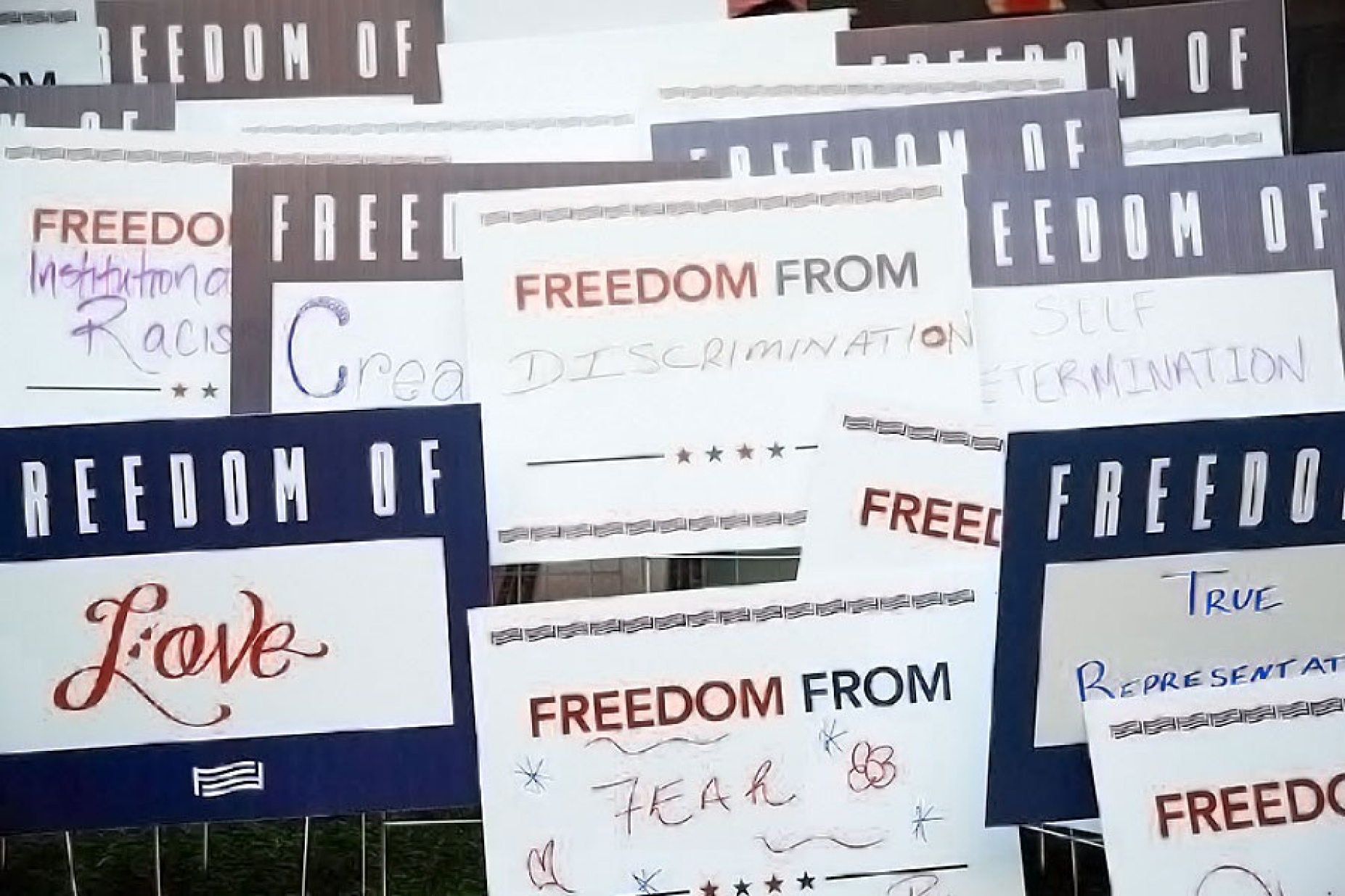 Lawn signs in a past For Freedoms art project. 