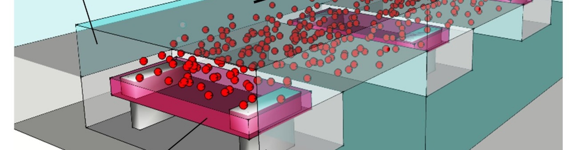 Diagram shows how platelets pass through the engineered tissue model that has collagen microtissue layer supported by micropillars.