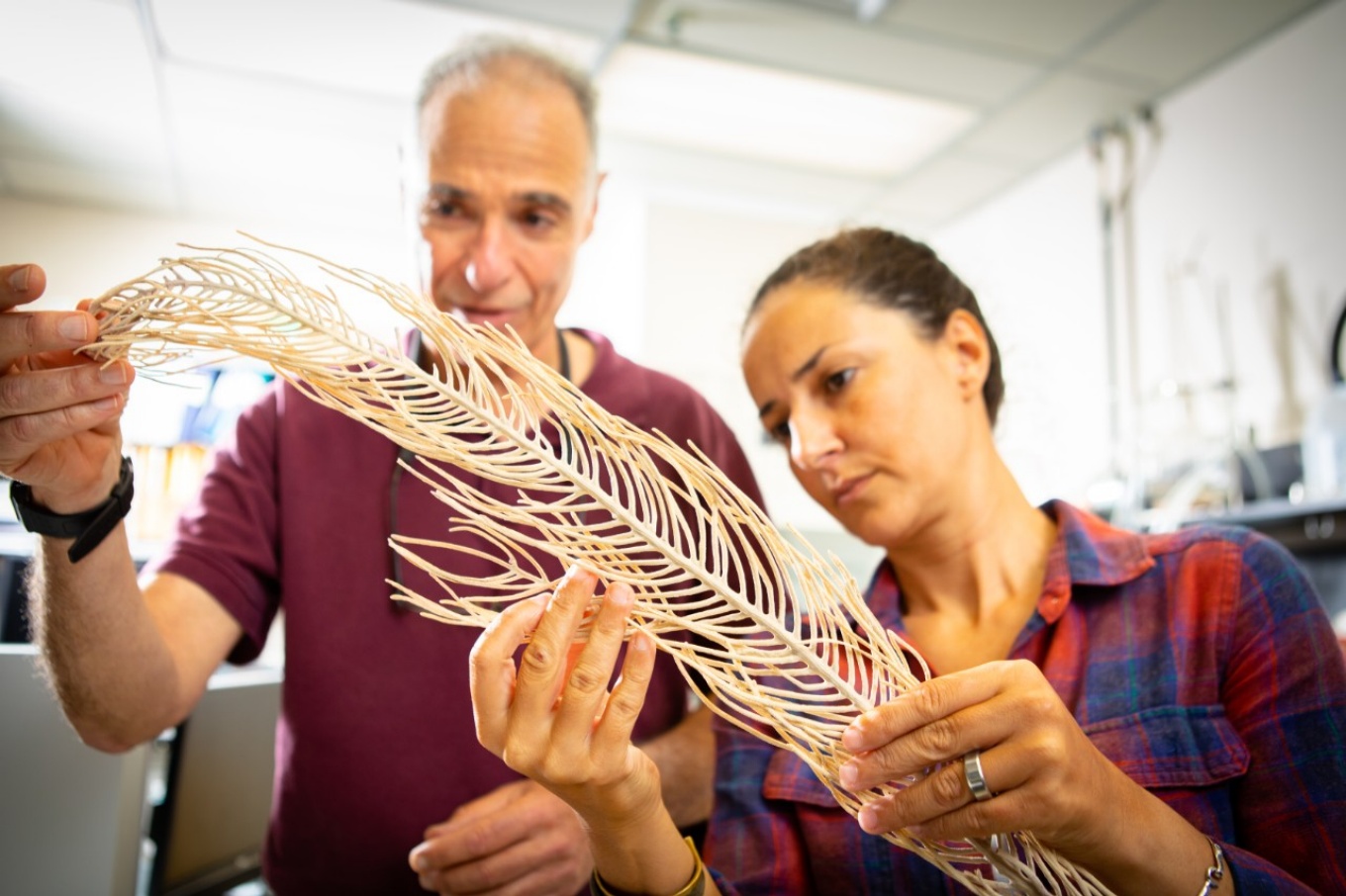 Zoom image: Angela Martinez Quintana, right, is a PhD student in evolution, ecology and behavior, one of the programs housed in the UB Department of Environment and Sustainability. She is studying coral reefs in the lab of Howard Lasker, left, chair of the department. Credit: Douglas Levere / University at Buffalo 