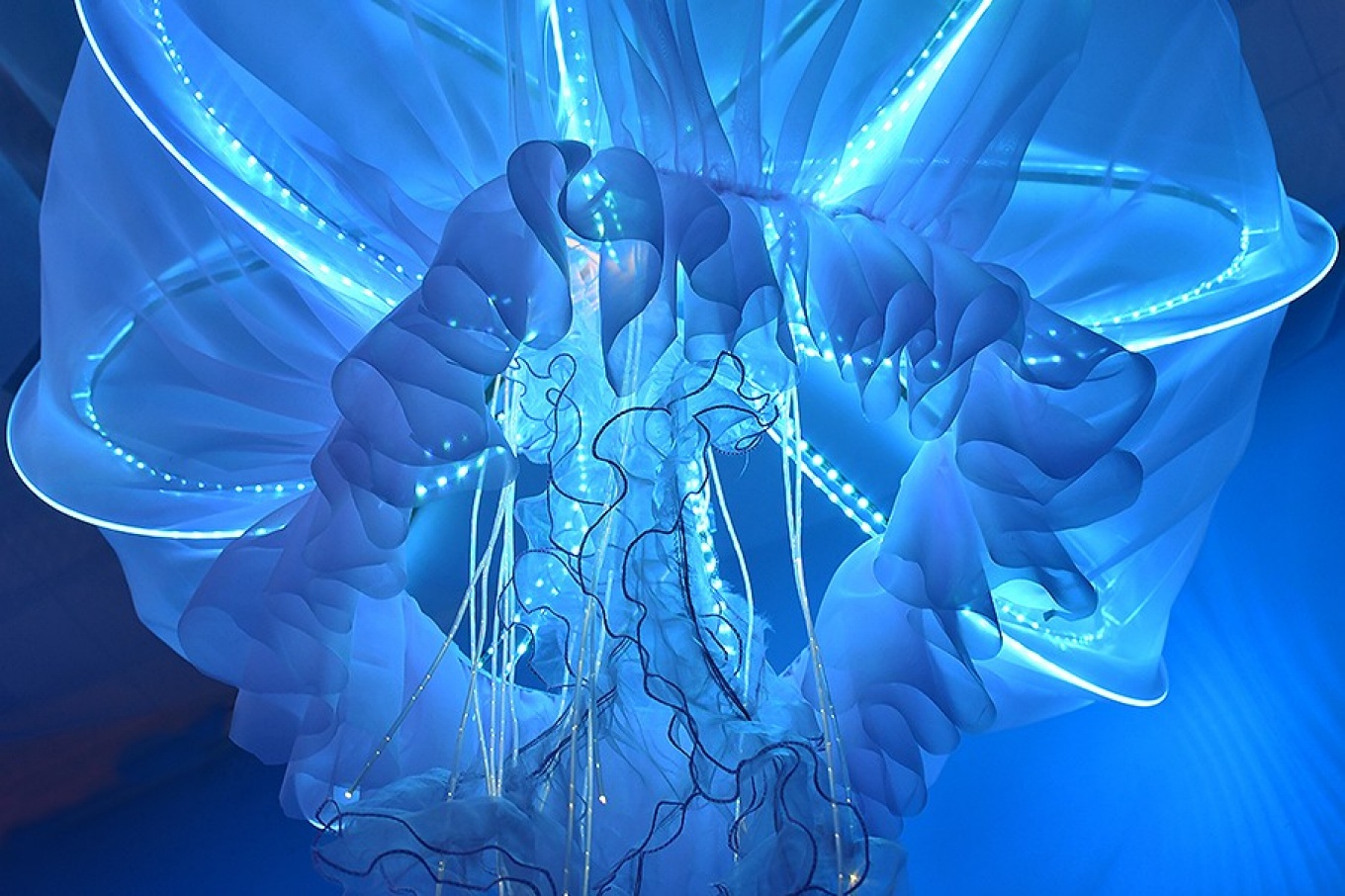 Zoom image: UB architecture alumnus and adjunct instructor Randy Fernando was among the designers of Ocean Cube, a pop-up exhibition in New York City that asked visitors to consider the ocean and sustainability. Credit: Randy Fernando 