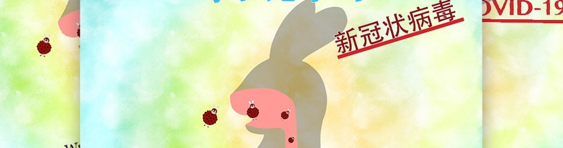 Image shows three covers to the Berry Bunny story, in English, Spanish and Chinese.