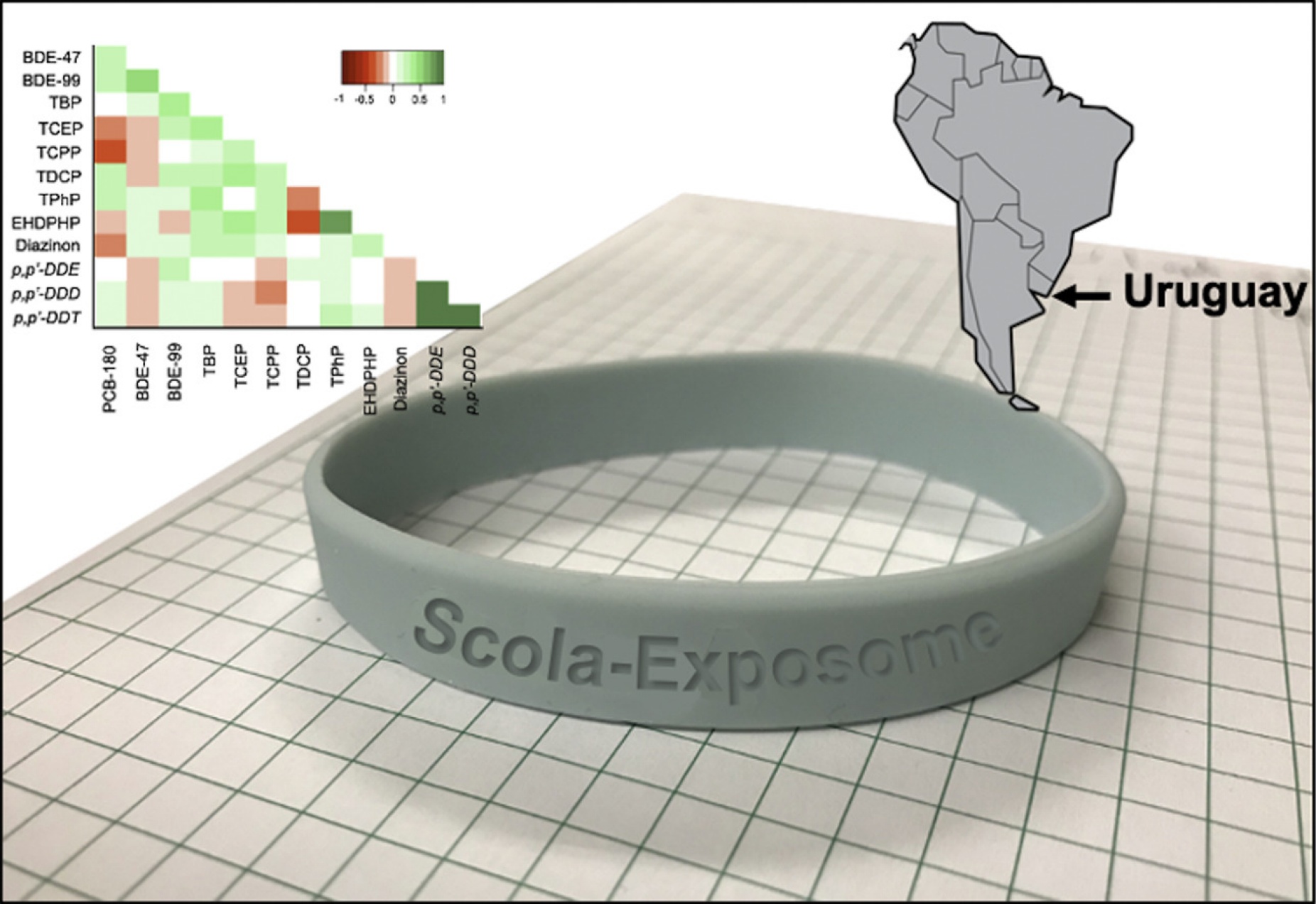 Graphic depicting a chart, a silicone wristband and where in South America the country of Uruguay is located. 