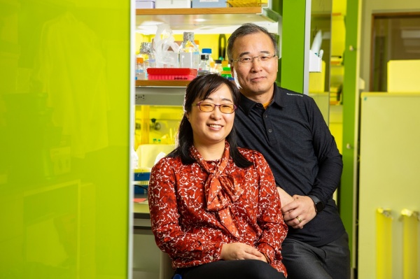 Zoom image: University at Buffalo biologists Soo-Kyung Lee (left) and Jae Lee are researching the FOXG1 gene. Their daughter, Yuna, has a mutation in the gene, which has severely impacted her development. Credit: Douglas Levere / University at Buffalo. View and download additional photos. 