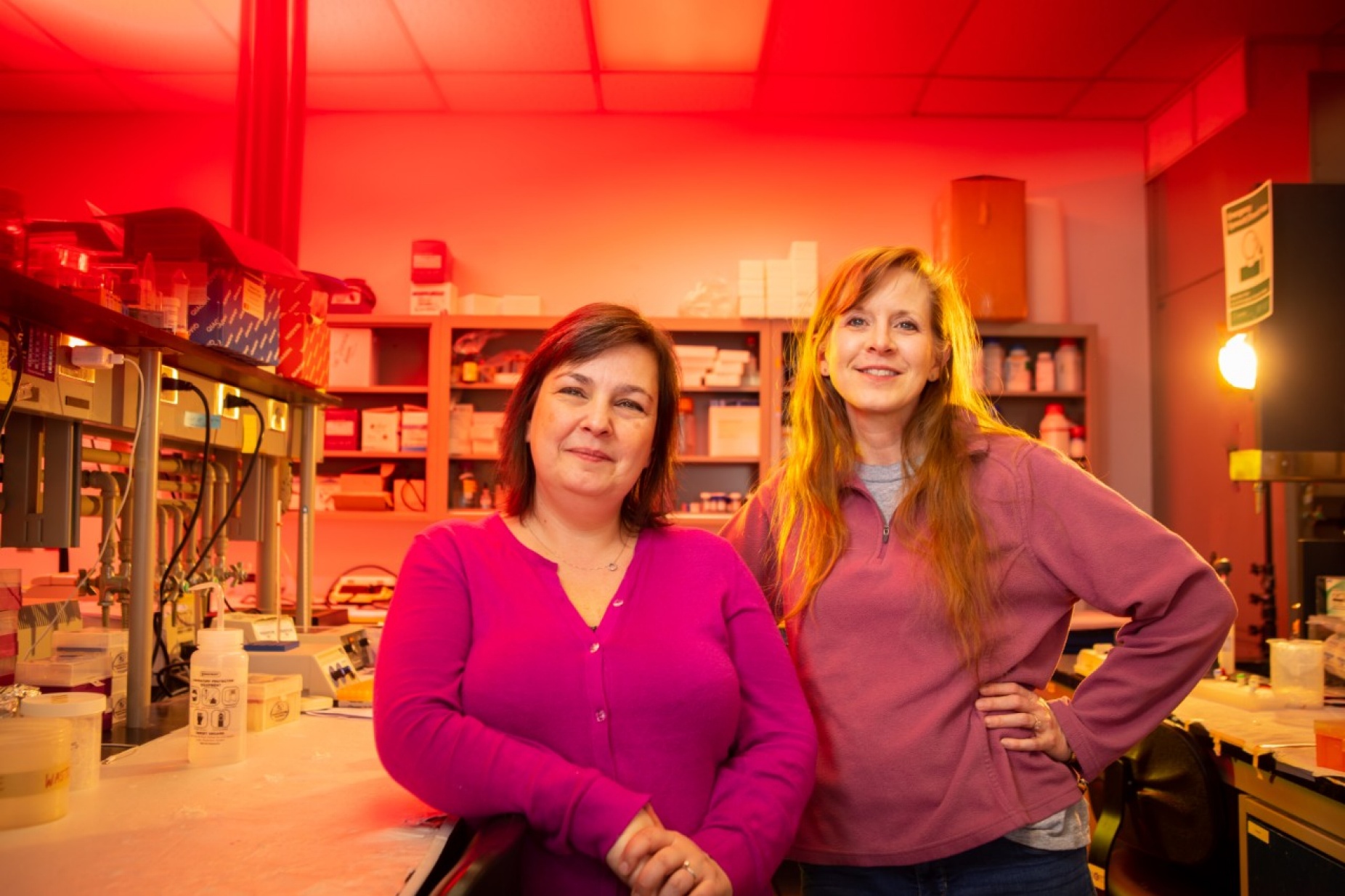 Zoom image: Researchers Ann-Marie Torregrossa, University at Buffalo assistant professor of psychology, and Kathryn Medler, UB associate professor of biological sciences, pictured in 2019. Credit: Douglas Levere / University at Buffalo 