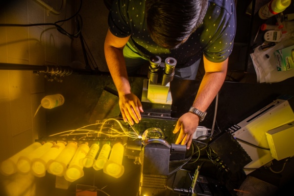 Zoom image: Researcher Debarghya Dutta Banik works with an imaging system. In the new study, this set-up was used to locate taste cells through fluorescent microscopy. Dutta Banik, a postdoctoral fellow at the Indiana University School of Medicine, is pictured in 2019 at the University at Buffalo, where he completed his PhD. Credit: Douglas Levere / University at Buffalo 