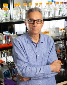 Zoom image: Photograph of Stefan Ruhl standing in a laboratory.
