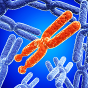 Concept of the "fragile X" genetic mutation. 