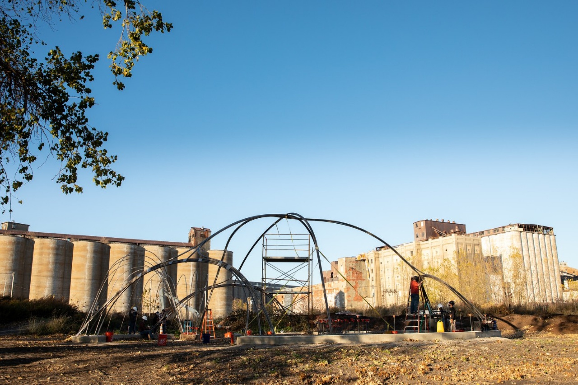 Zoom image: University at Buffalo architecture students designed and built a steel structure at Silo City in Buffalo that will train the branches of willow trees to form a canopied gathering space. Photo: Meredith Forrest Kulwicki 