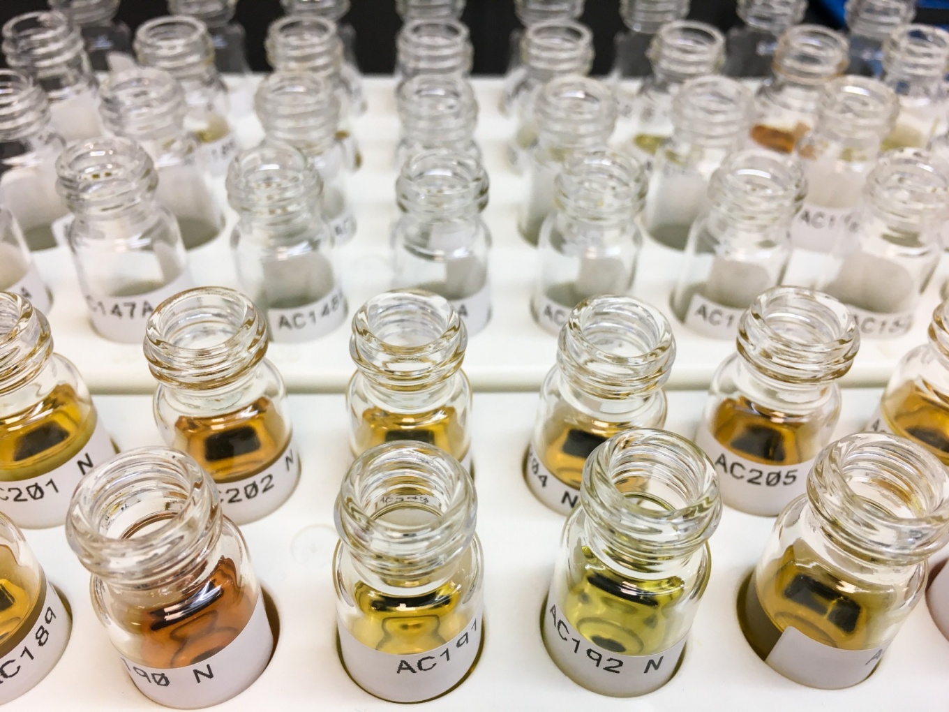 Zoom image: Extracting and analyzing leaf wax chemicals from ocean-bottom and other sediments is a complex process. This photo shows just one of many steps: The vials hold what scientists call the acid fraction, which contains materials including leaf wax chemicals. Credit: Allison Cluett. Download additional photos. 