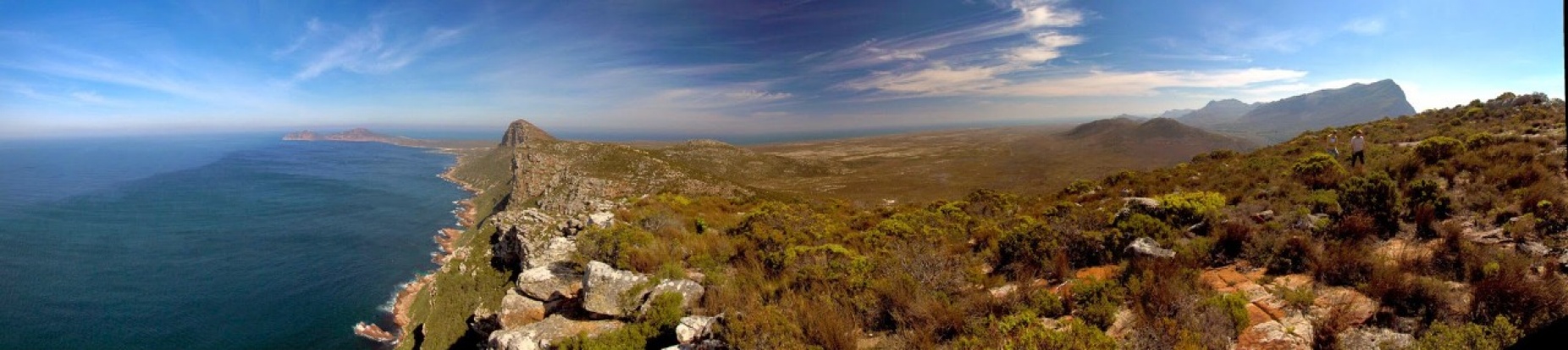 Zoom image: Panoramic view of the Cape of Good Hope, Africa&rsquo;s Southwest most point. The fynbos of South Africa is an ecologically important shrubland found in the country&rsquo;s Greater Cape Floristic Region, one of the richest repositories of plant life on Earth. Credit: Adam Wilson 