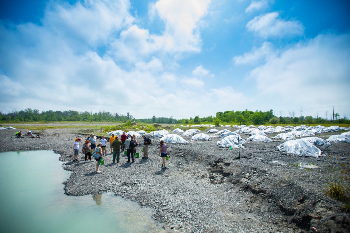 Zoom image: Teachers in the EarthEd Institute visited Penn Dixie Fossil Park and Nature Reserve on July 14 to learn about fossils and rocks that can be found in Western New York. Plastic sheeting protects piles of fresh rock for future programs in the background. Credit: Douglas Levere / University at Buffalo 