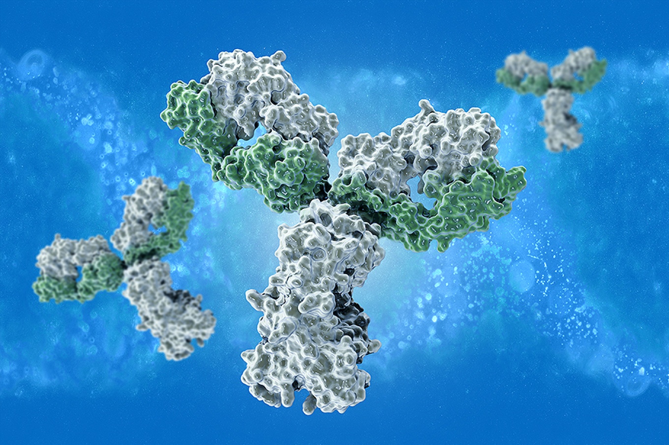 Digital image of an antibody. 