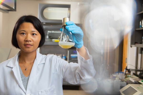Zoom image: Zhen Wang, University at Buffalo assistant professor of biological sciences, is an expert in synthetic biology. Credit: Douglas Levere / University at Buffalo 