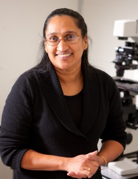 Portrait of Shermali Gunawardena in the lab, in front of a microscope. 