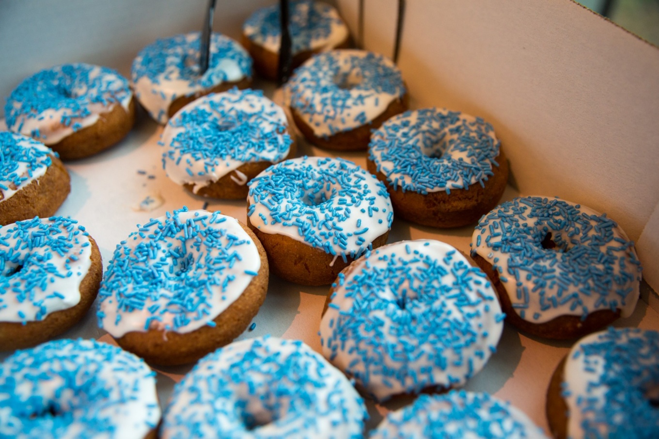 Photo of blue sprinkled doughnuts. 