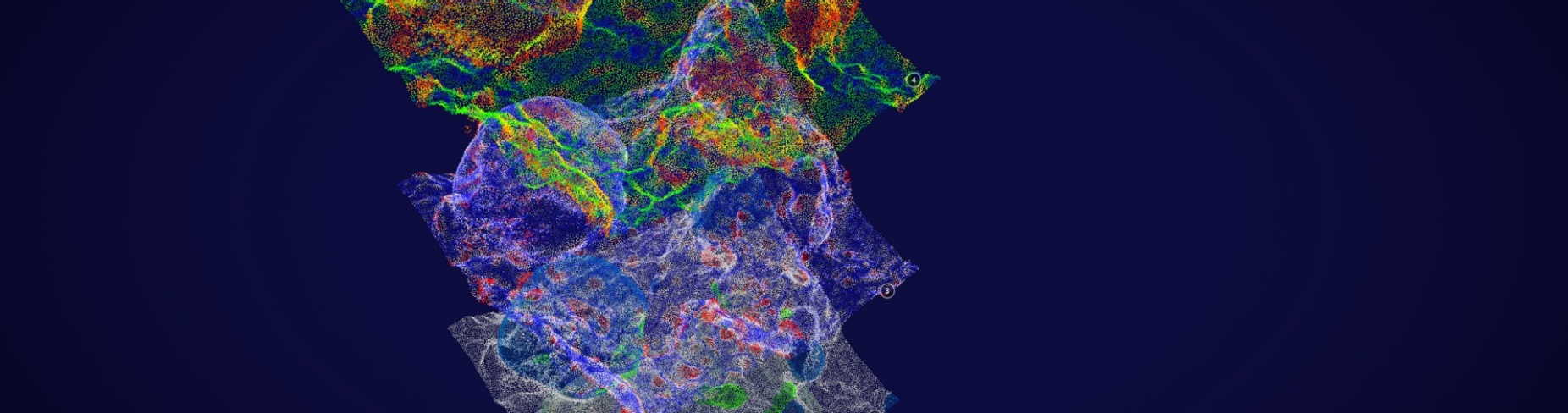 Zoom image: A four-layered model with each layer using small dots of different colored to depict varying characteristics of the surface of a coral reef.