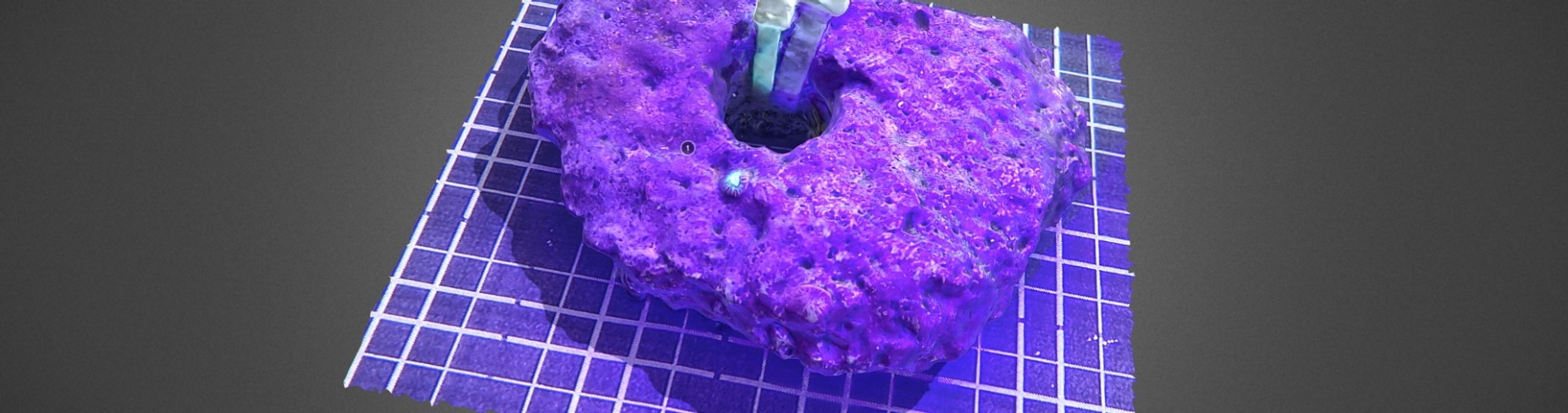 Zoom image: A bright round blue-green object on a bright purple rocky surface or substrate shaped like a donut.