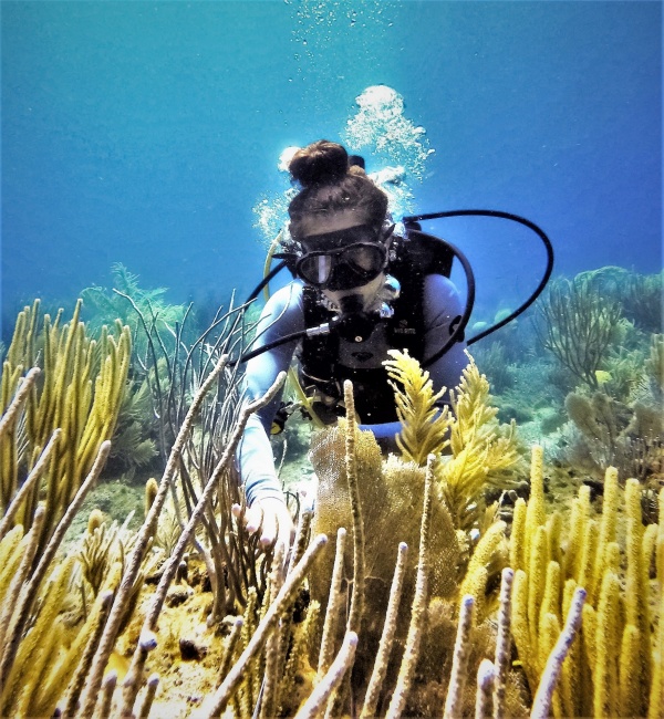Zoom image: &Aacute;ngela Mart&iacute;nez Quintana, a PhD student at the University at Buffalo, dives during a research trip to the Caribbean island of St. John, part of the U.S. Virgin Islands. To create 3D models of reef environments, she spent many hours documenting the precise locations of tiny young corals on reefs. Credit: Jacqueline Krawiecki&nbsp; 