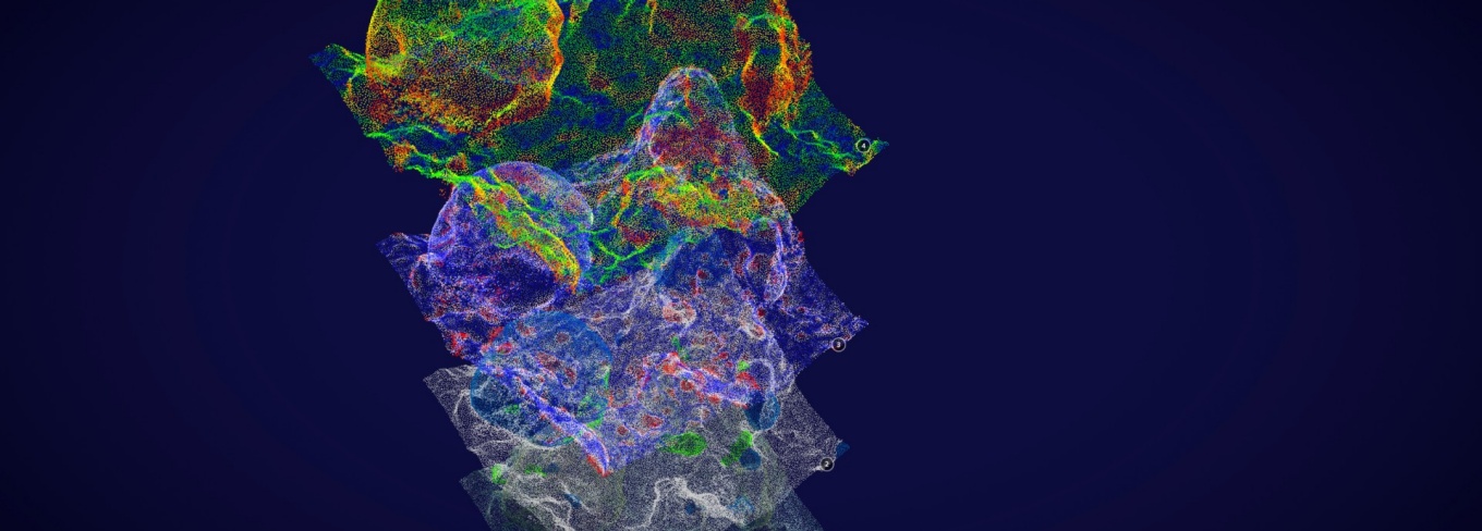 Zoom image: A four-layered model with each layer using small dots of different colored to depict varying characteristics of the surface of a coral reef.